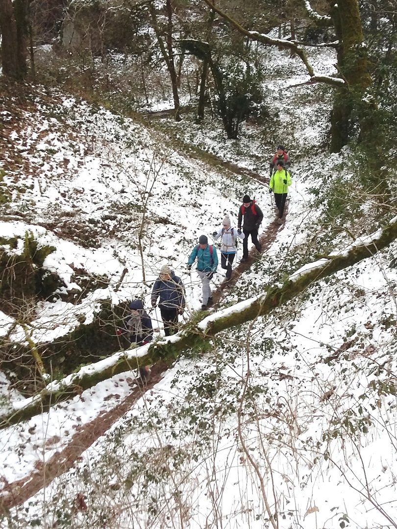 Descente dans les bois enneigés de 5 marcheurs de la section marche Nordique de la JAB