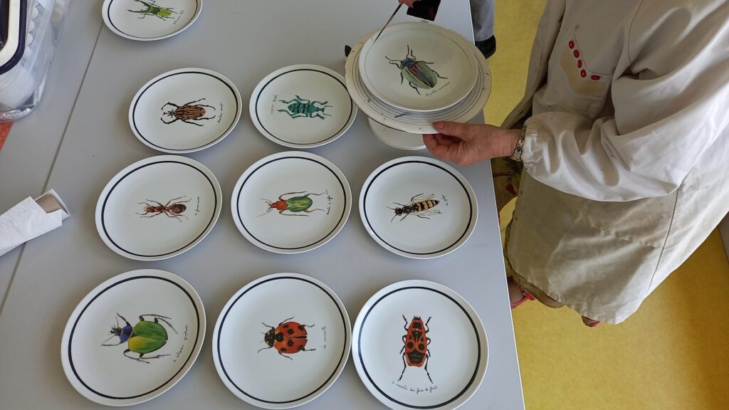 Plusieurs assiettes avec comme thématique les insectes : une vraie œuvre d'art !