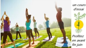 plusieurs pratiquantes en train de faire leurs exercices de Yoga en plein air